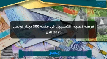 فرصة ذهبية: التسجيل في منحة 300 دينار تونس 2025 الآن